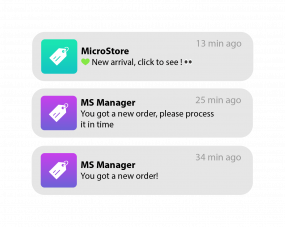stock management, microstore wholesale aubervilliers, MC APP - MicroStore, sales and stock management software for wholesale